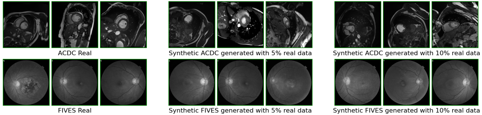 Synthetic Data Samples