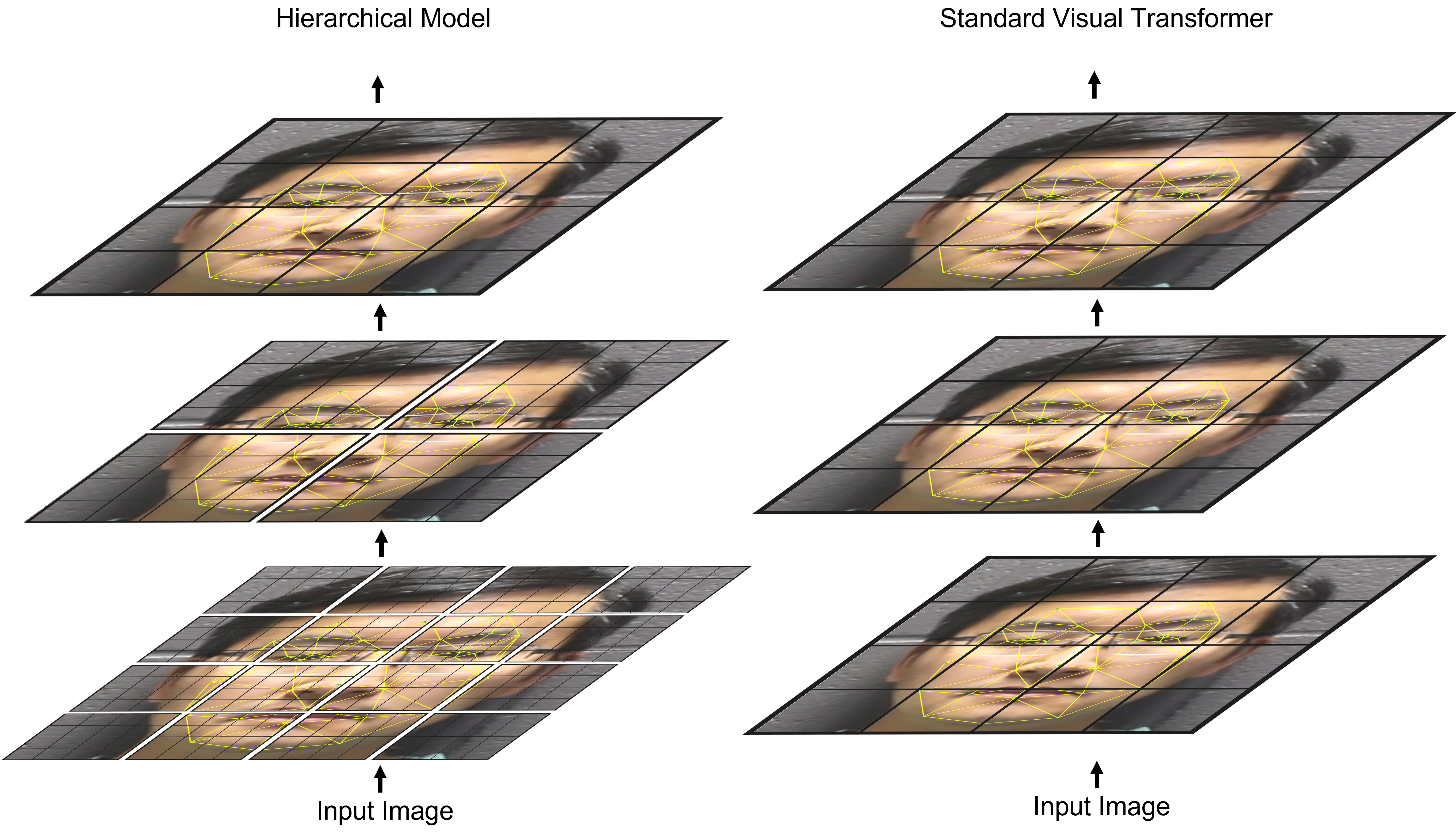 Can Hierarchical Transformers Learn Facial Geometry