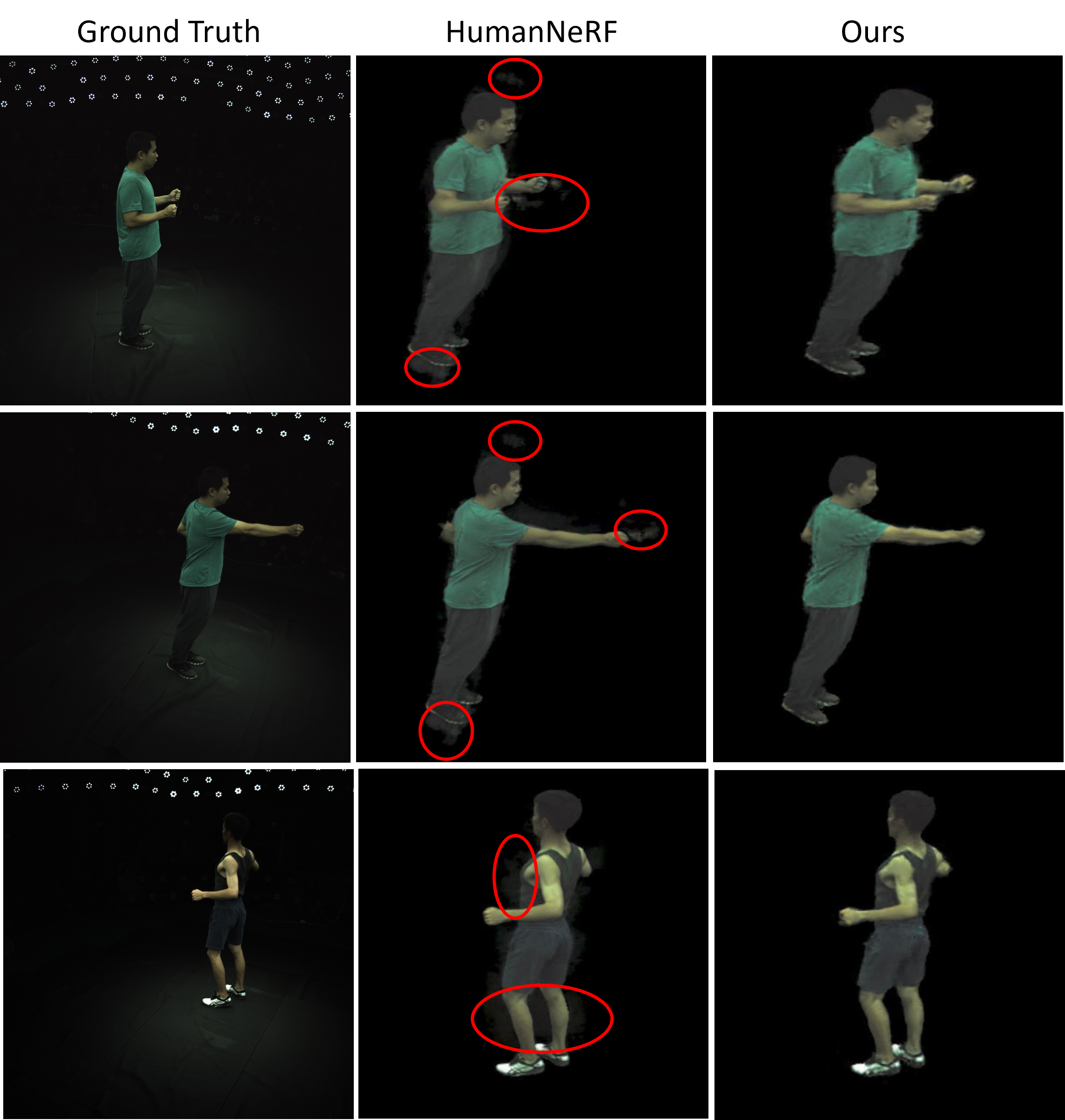 TE-NeRF: Triplane-Enhanced Neural Radiance Field for Artifact-Free Human Rendering